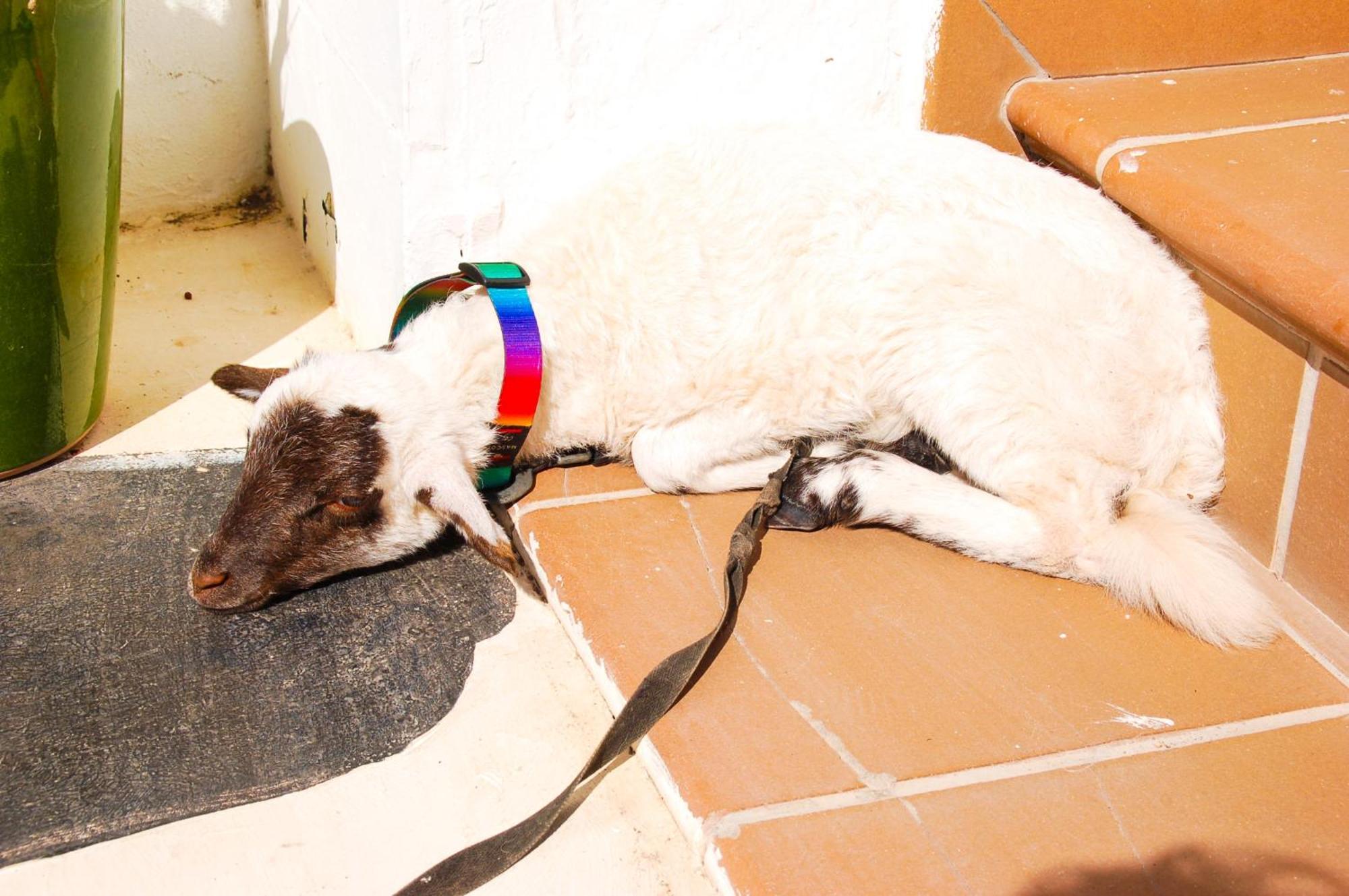 Casa Rural Ga7Colores Only Adult Montana Blanca Luaran gambar